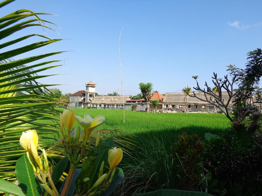 Bening Bungalow Ubud Esterno foto