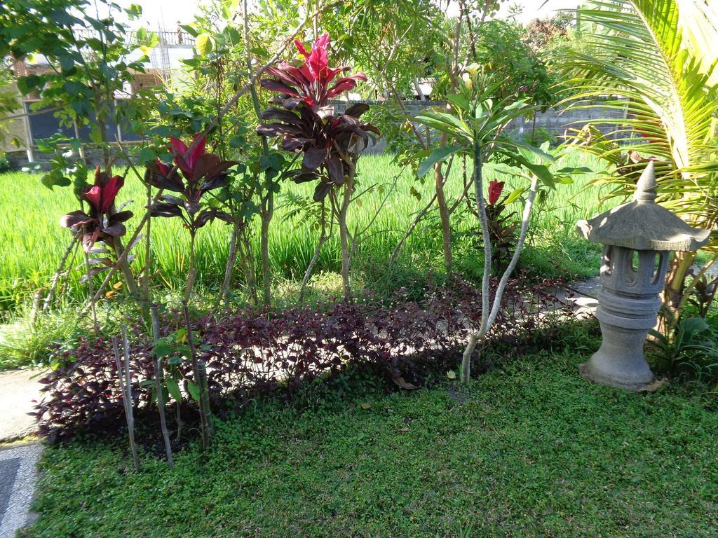 Bening Bungalow Ubud Esterno foto