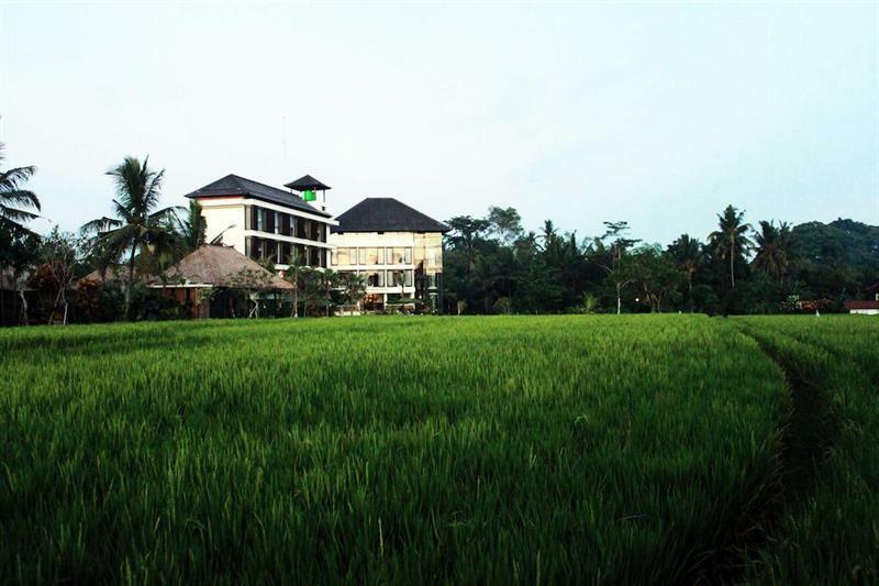 Bening Bungalow Ubud Esterno foto