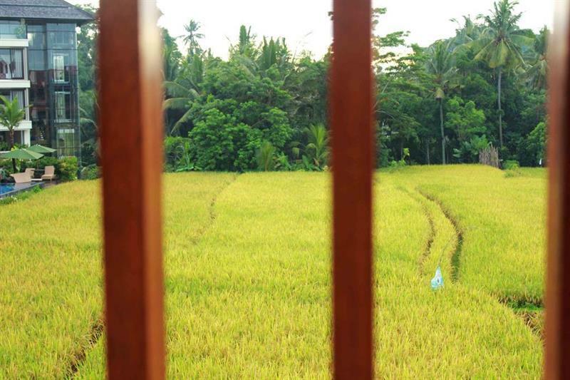 Bening Bungalow Ubud Esterno foto